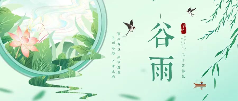 今日谷雨
