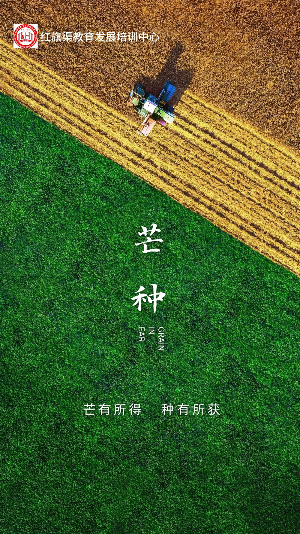 芒种节气问候祝福实景手机海报(1)